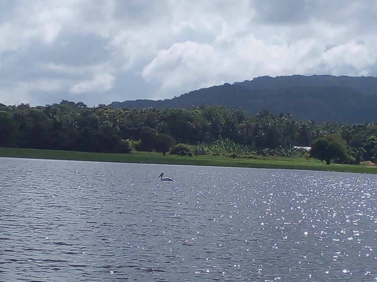 Lake Edge Dambulla Exteriör bild
