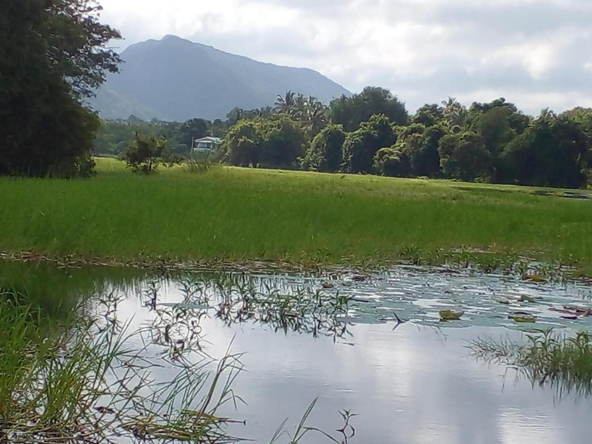 Lake Edge Dambulla Exteriör bild