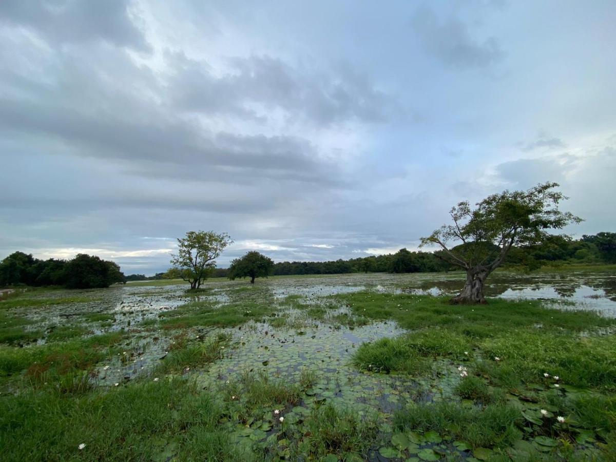 Lake Edge Dambulla Exteriör bild